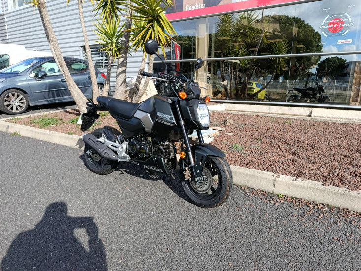 HONDA MSX GROM 125 - MAUGUIO (MONTPELLIER EST)